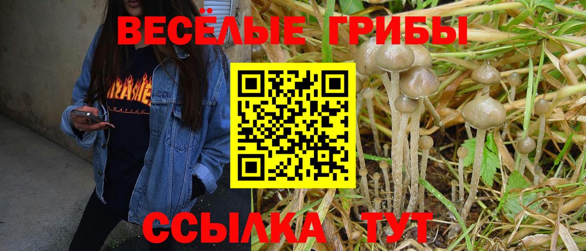 Псилоцибиновые грибы MAGIC MUSHROOMS Нягань